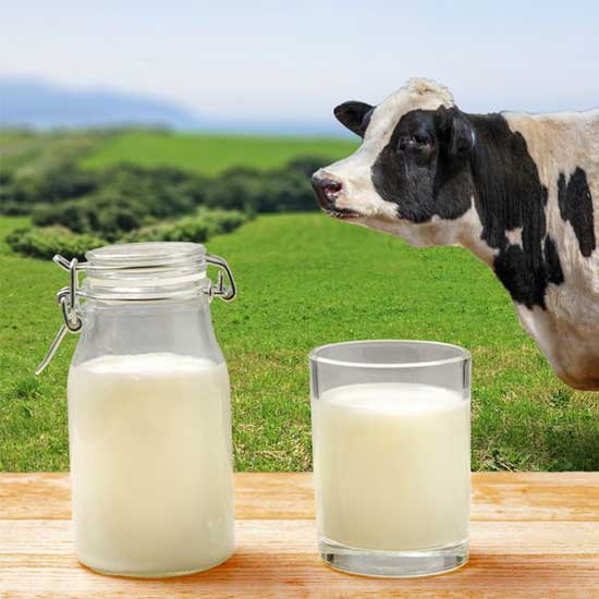 Farm Fresh Milk